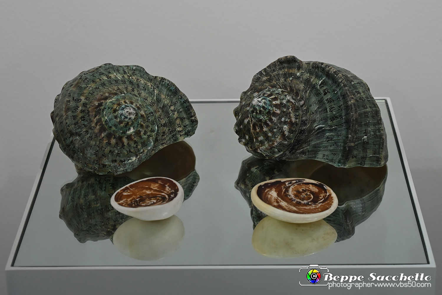 VBS_8353 - Artissima 2022 - Ventinovesima Edizione.jpg